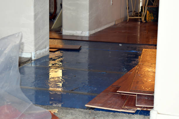 Professional Burst Pipe Cleanup technician working in Glenwood, MN